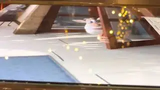 Booba mousetrap episode 11 clip