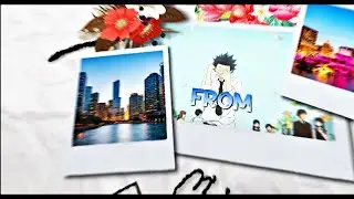 AMV Typography Edit - All We Know | Koe No Katachi | After Effect Edit