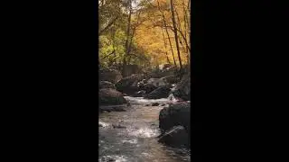 Закрой глаза и скажи три раза слова, чтоб быть счастливой