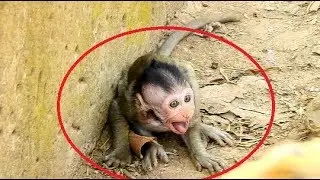 Why! Why baby Janet extremely scream loudly till on ground so pity,Briget steal Janet run fast