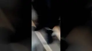 Лазием и вэйпем2