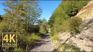 Sunny Hills Nature Walk 4K (With Ambient Nature Sounds And Music)
