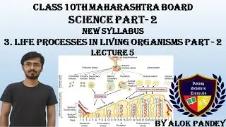 3. Life Processes  in Living Organisms Part2|Development & Birth| Menstrual Cycle|RST|By Alok Pandey