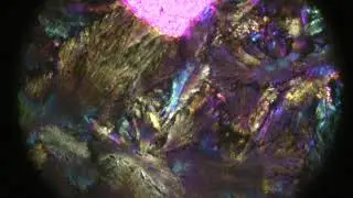 00011