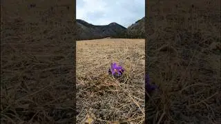 Малое море Байкал Весна