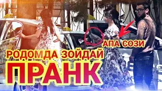 АНА ПРАНК БАРИ  РОДОМДА ТАКСИХОИ КУЛОБ