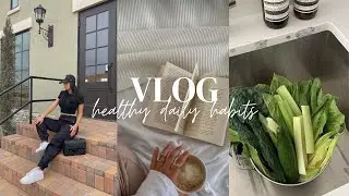 DAILY HEALTHY HABITS for 2023