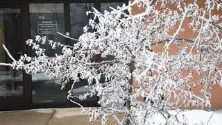 NWS Gaylord Hoar Frost January 3, 2021