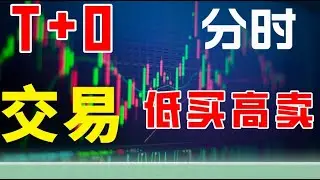 T+0核心精髓|看一眼量价，日内涨跌方向马上有判断|散户看懂了分时角度，就远离追涨被套#赚钱 #主力 #交易 #k线图