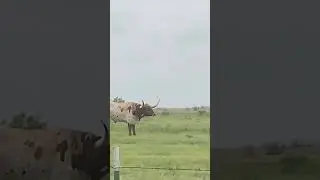Couples fight.