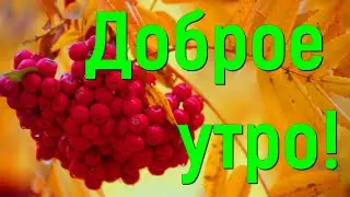 С Добрым Утром! Красивое Пожелание Доброго Утра!