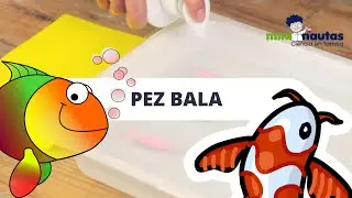 Vídeo - mini-nautas -  El pez bala - Experimentos de ciencia