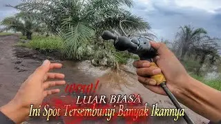DISINI IKANNYA MISTERIUS ‼️ || CASTING GABUS