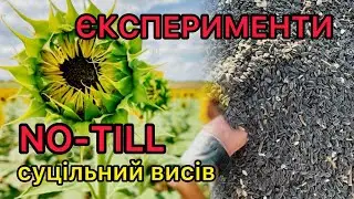 2,1 т/га багато чи мало⁉️🌻по no-till суцільним висівом‼️