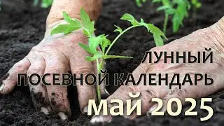 Lunar Sowing Calendar for Gardeners and Vegetable Growers for May 2025
