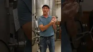 Bell Wine Cellars Bottling Day 1: Recap with Winemaker John Hazak 🍷