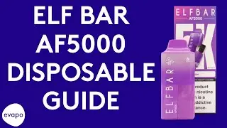 Elf Bar AF5000 disposable guide