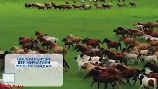 Mongol Naadam Bay Area - short ad