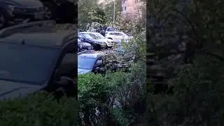утро раннее