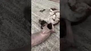 Happy Video 