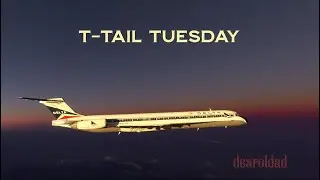 T - Tail Tuesday