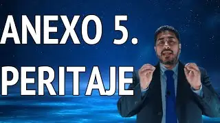 ANEXO 5.  PERITAJE