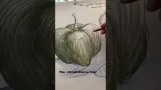 Dolmalık Biber Çizimi