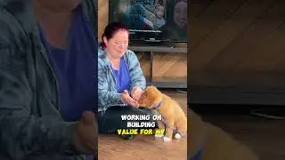 Did You Wait Too Long? Leash Walking Mistake #3