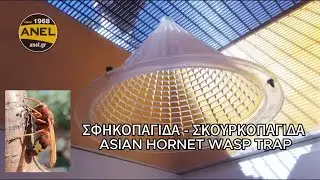 Asian Hornet Wasp Trap