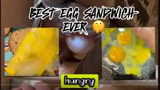 YUMMY 🤤 | BEST EGG SANDWICH EVER #pigeonhobby  #layingegg #eggsandwich #kalapatidsph #browsefeatures