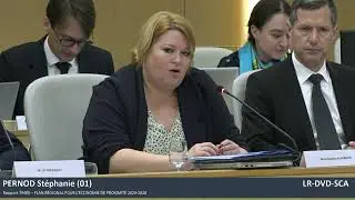 Stéphanie PERNOD - Plan régional pour l'économie de proximité