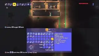 Terraria Splitscreen on PS3 [18] - skybridge begins...