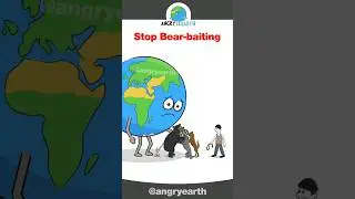 Stop Bear-baiting #shorts