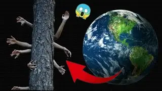 Tree in Hand😱on Google Earth #armkien