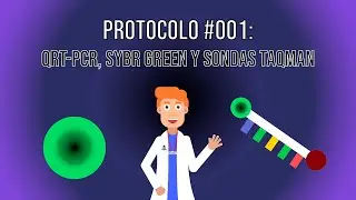 Protocolo 