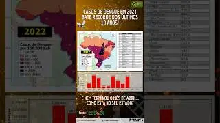Dengue bate recorde dos últimos 10 anos no Brasil