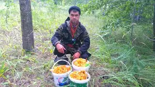 ГРИБНАЯ охота/MUSHROOM hunting.