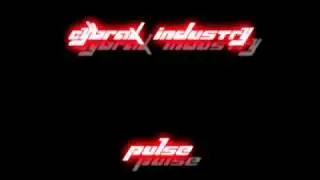 11. Cybrax Industry - Aufschneiden '' Album Pulse ''