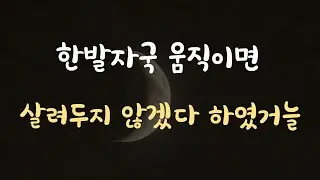 [2편] 결국 힘을 쓰게되는 뱀파이어 사극ASMR
