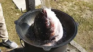 СУПЕР УХА В КАЗАНЕ НА КОСТРЕ