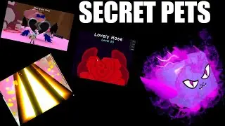 He Quit Bubble Gum Simulator and Decided to Give me these SECRET PETS! (bgs)