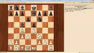Алессандро Сальвио - NN, 1634