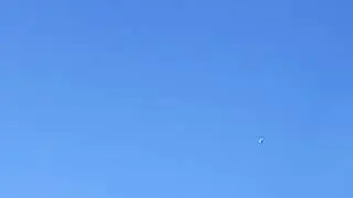 Ижевские голуби. Полёты 14.07.24
