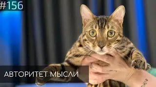 Патрис Квахаджелидзе | Авторитет Мысли (AM podcast #156)