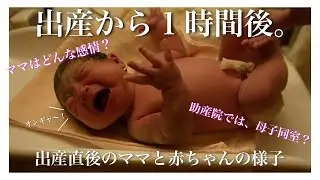 出産直後のママの気持ちと赤ちゃんの様子👶💕‖助産院出産‖２人目出産‖