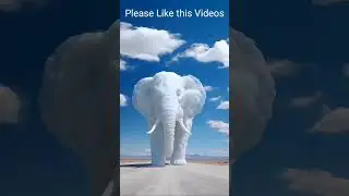 একদম ন্যাচারাল, কি সুন্দর চারপাশটা #reelsviral #funny