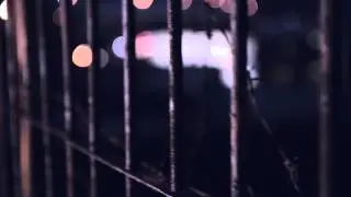 0TU1 - みちしるべ [Short Version] Official Video