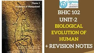 IGNOU Bhic-102 (unit:- 2 )|| Biological Evolution of Human's + Notes pdf📋