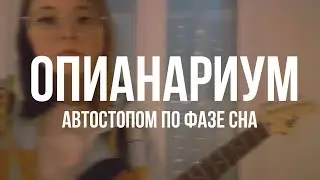 Опианариум - Автостопом по Фазе Сна (кавер на электрогитаре)