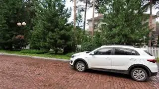 Сосны
